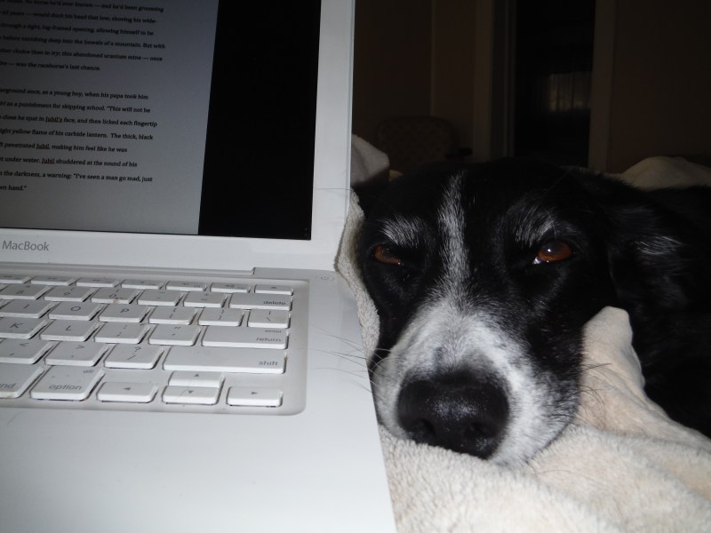 Chloe says, "How many times do I have to hear this???"