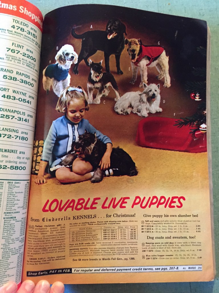 I am sure Mom and Dad kept it because of the cute puppies. They were dog lovers too.