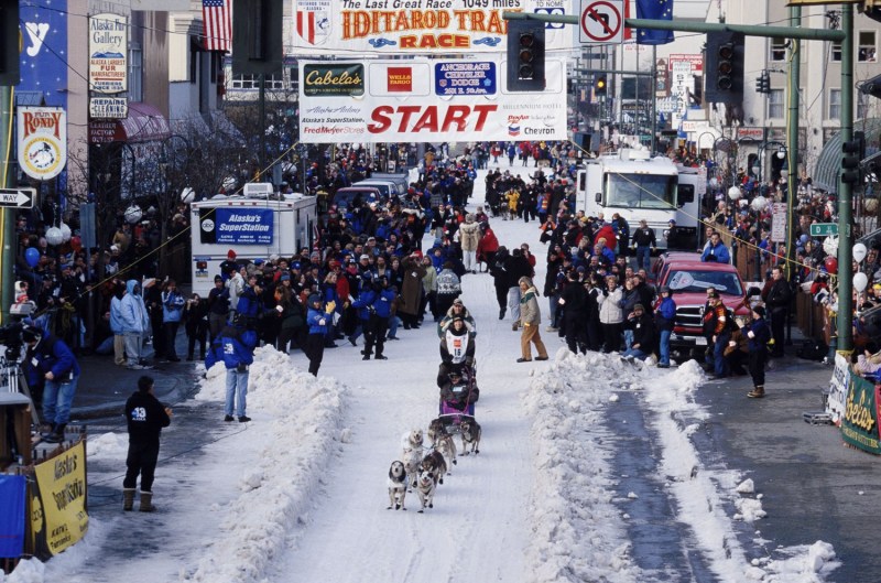 Iditarod 2002